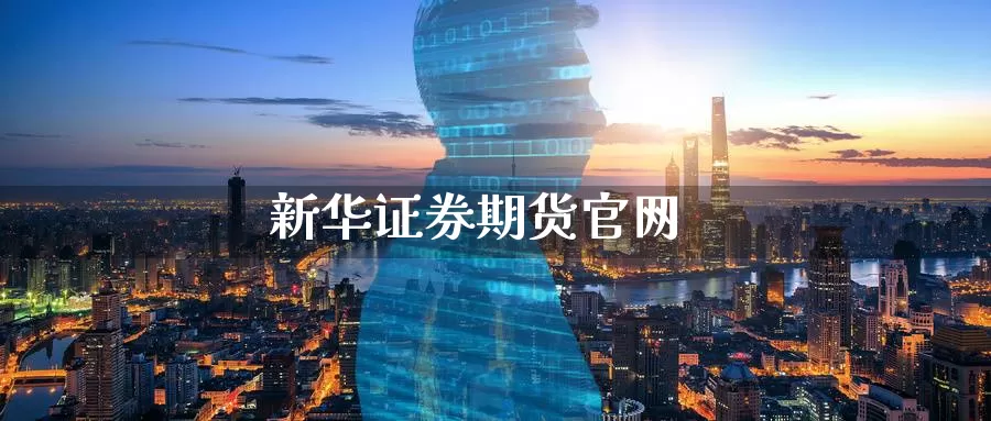 新华证券期货