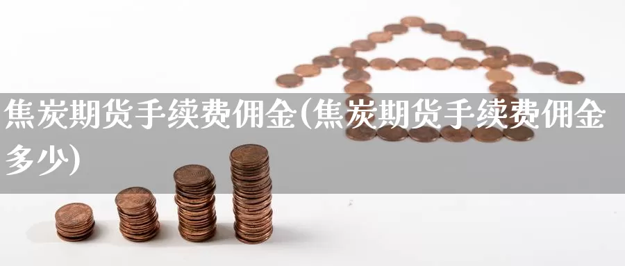 焦炭期货手续费佣金(焦炭期货手续费佣金多少)