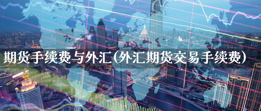 期货手续费与外汇(外汇期货交易手续费)