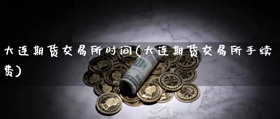 大连期货交易所时间(大连期货交易所手续费)