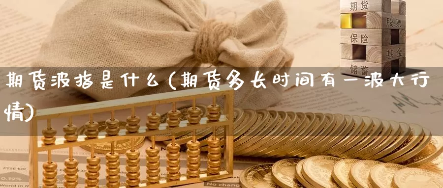 期货波指是什么(期货多长时间有一波大行情)