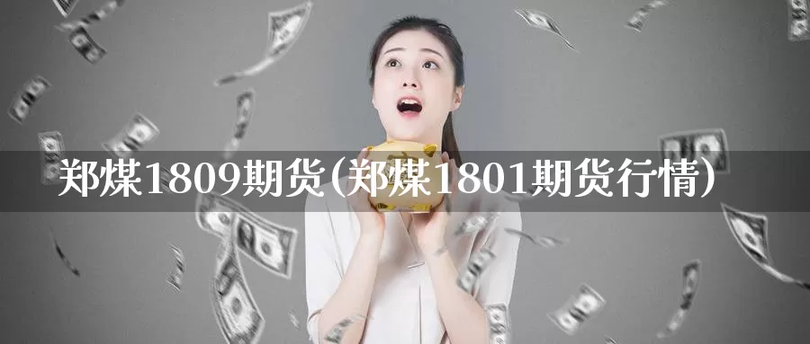 郑煤1809期货(郑煤1801期货行情)