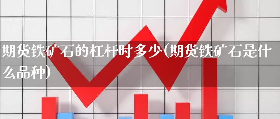 期货铁矿石的杠杆时多少(期货铁矿石是什么品种)