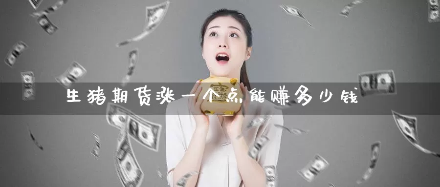 生猪期货涨一个点能赚多少钱