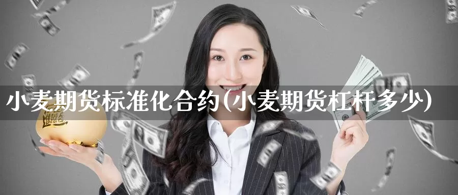 小麦期货标准化合约(小麦期货杠杆多少)
