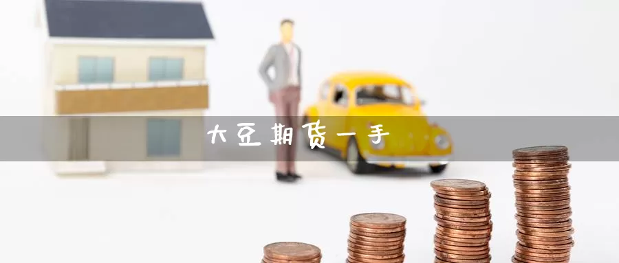 大豆期货一手