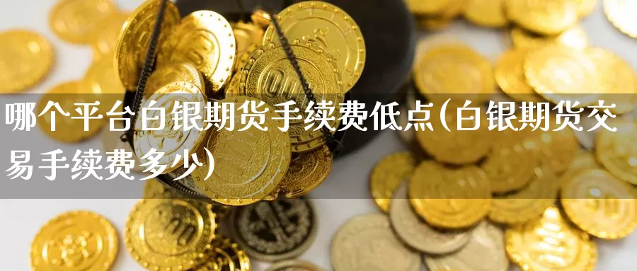 哪个平台白银期货手续费低点(白银期货交易手续费多少)