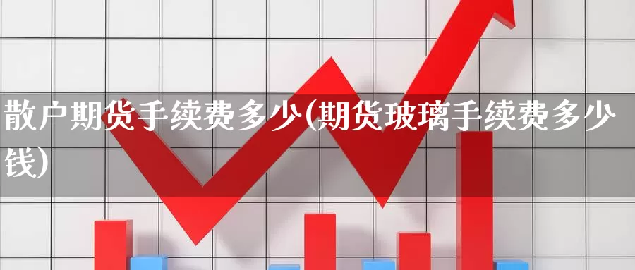 散户期货手续费多少(期货玻璃手续费多少钱)