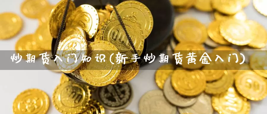 炒期货入门知识(新手炒期货黄金入门)