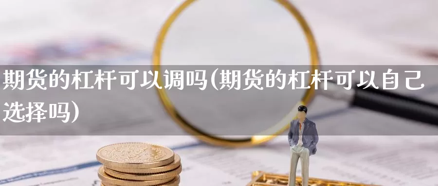 期货的杠杆可以调吗(期货的杠杆可以自己选择吗)