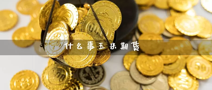 什么事玉米期货