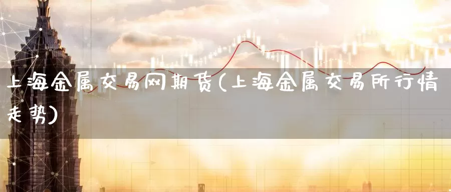 上海金属交易网期货(上海金属交易所行情走势)