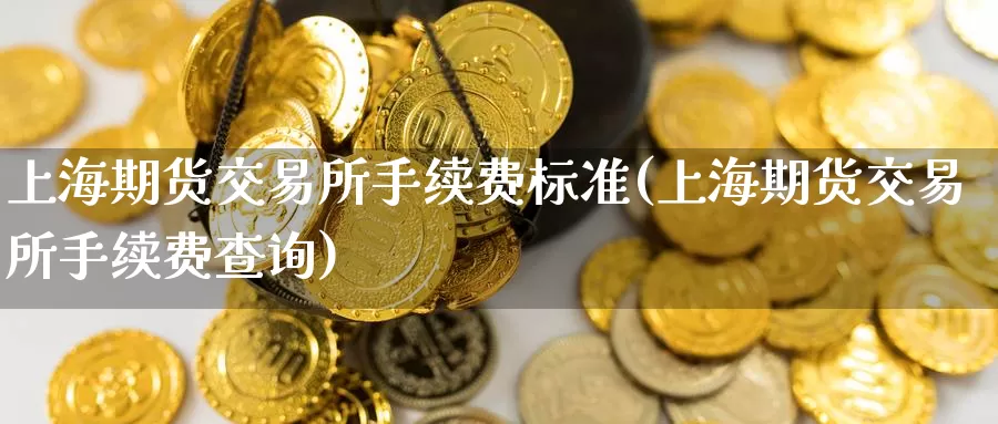 上海期货交易所手续费标准(上海期货交易所手续费查询)