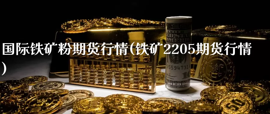 国际铁矿粉期货行情(铁矿2205期货行情)