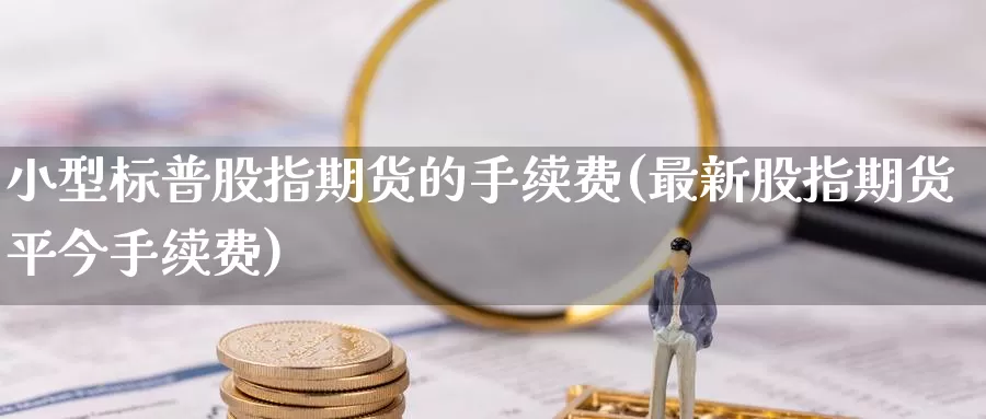 小型标普股指期货的手续费(最新股指期货平今手续费)