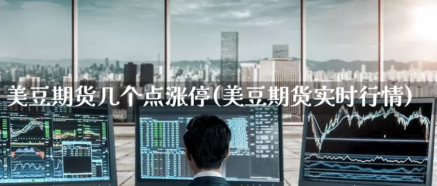 美豆期货几个点涨停(美豆期货实时行情)