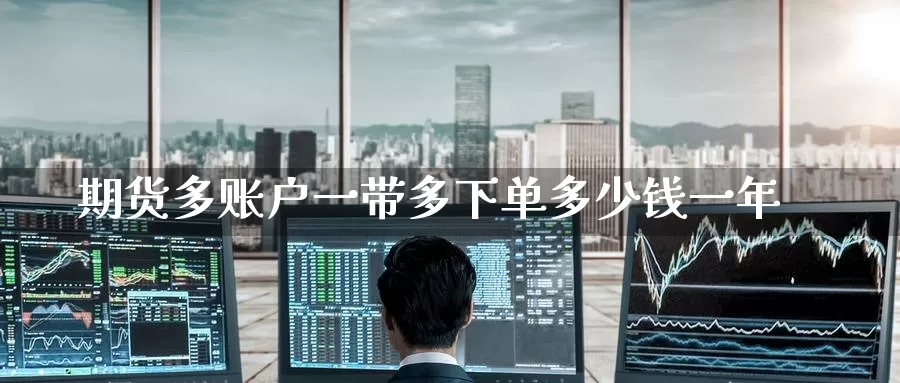 期货多账户一带多下单多少钱一年