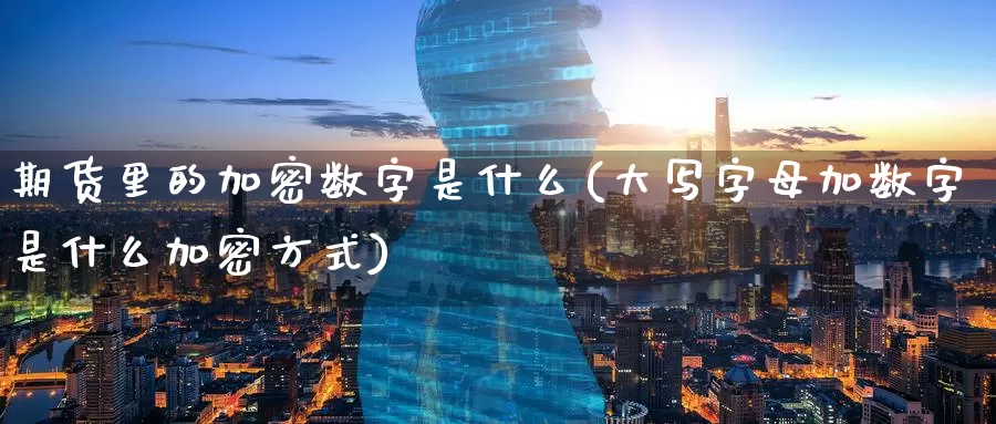 期货里的加密数字是什么(大写字母加数字是什么加密方式)