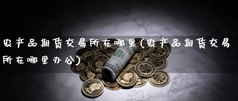农产品期货交易所在哪里(农产品期货交易所在哪里办公)
