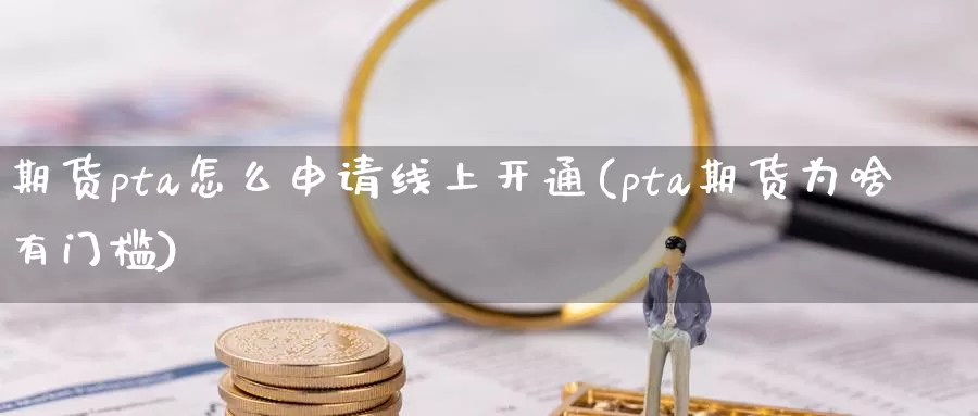 期货pta怎么申请线上开通(pta期货为啥有门槛)