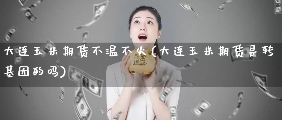 大连玉米期货不温不火(大连玉米期货是转基因的吗)