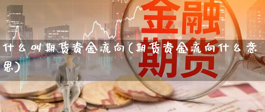 什么叫期货资金流向(期货资金流向什么意思)