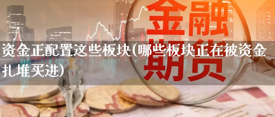 资金正配置这些板块(哪些板块正在被资金扎堆买进)