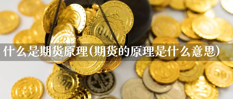 什么是期货原理(期货的原理是什么意思)