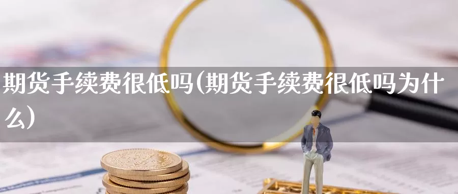 期货手续费很低吗(期货手续费很低吗为什么)
