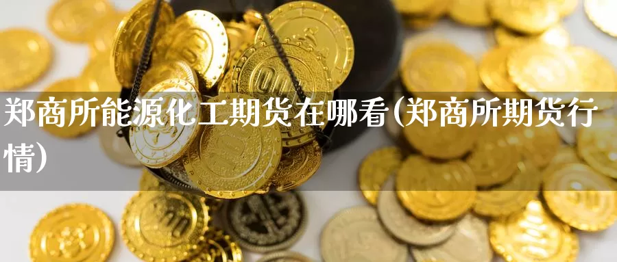 郑商所能源化工期货在哪看(郑商所期货行情)