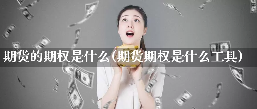 期货的期权是什么(期货期权是什么工具)