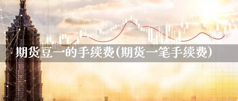 期货豆一的手续费(期货一笔手续费)