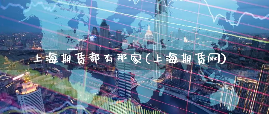 上海期货都有那家(上海期货网)