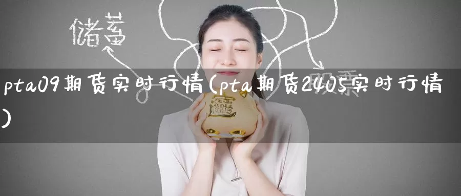 pta09期货实时行情(pta期货2405实时行情)