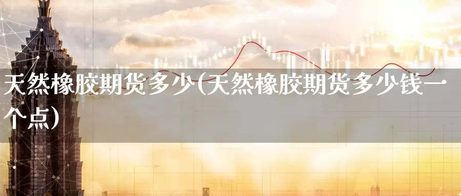 天然橡胶期货多少(天然橡胶期货多少钱一个点)