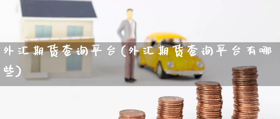 外汇期货查询平台(外汇期货查询平台有哪些)