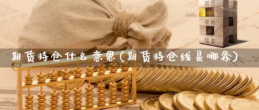 期货持仓什么意思(期货持仓线是哪条)