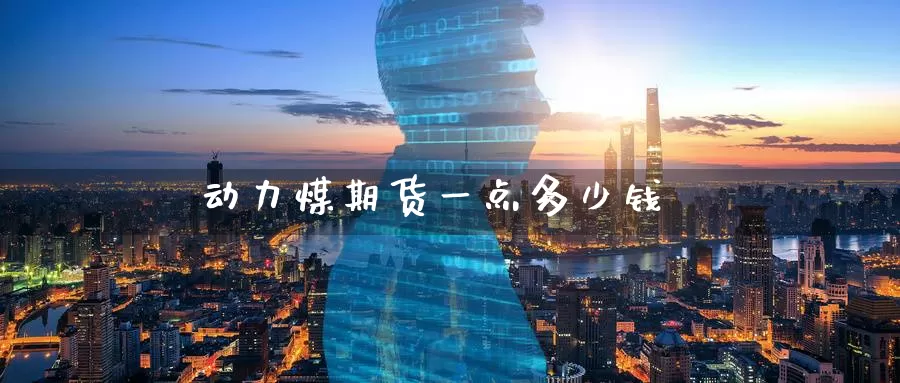 动力煤期货一点多少钱