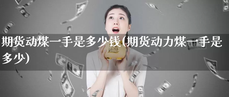 期货动煤一手是多少钱(期货动力煤一手是多少)