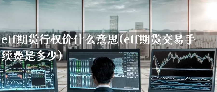 etf期货行权价什么意思(etf期货交易手续费是多少)