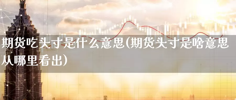 期货吃头寸是什么意思(期货头寸是啥意思从哪里看出)