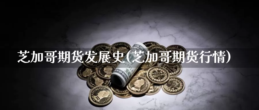 芝加哥期货发展史(芝加哥期货行情)