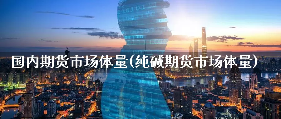 国内期货市场体量(纯碱期货市场体量)