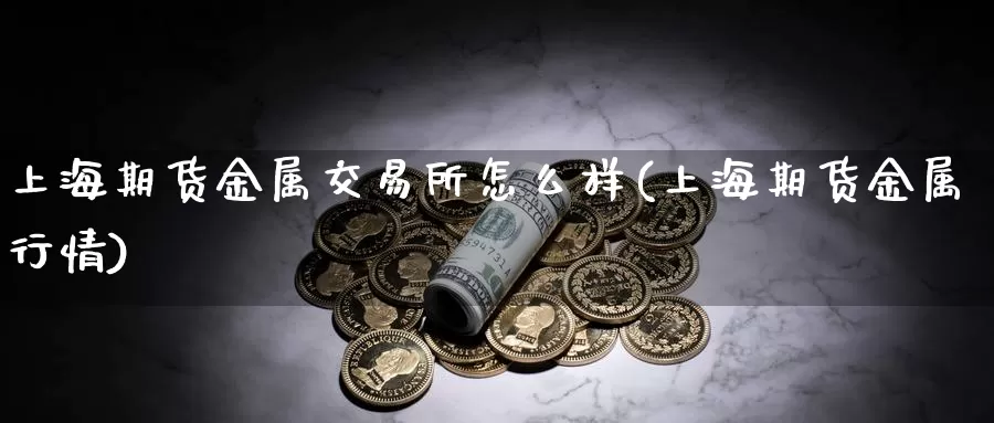 上海期货金属交易所怎么样(上海期货金属行情)