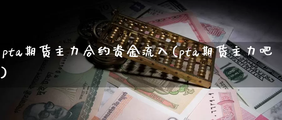 pta期货主力合约资金流入(pta期货主力吧)