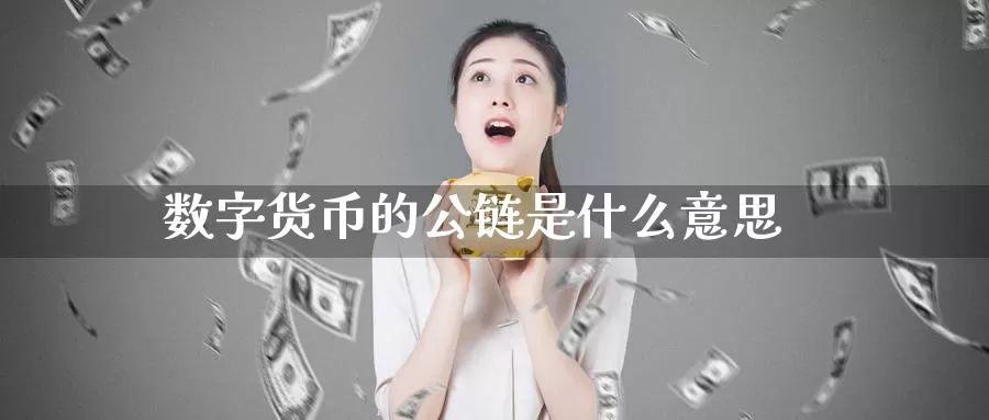 数字货币的公链是什么意思