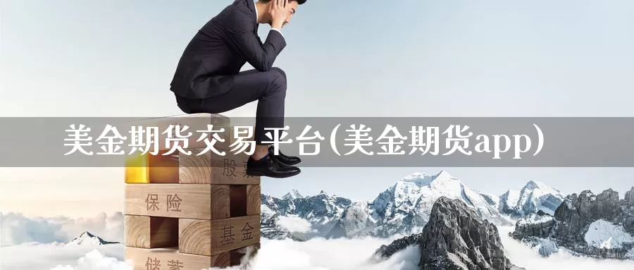 美金期货交易平台(美金期货app)