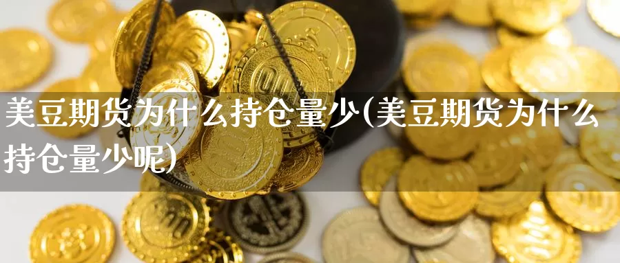 美豆期货为什么持仓量少(美豆期货为什么持仓量少呢)