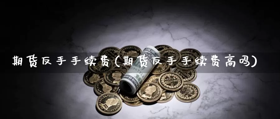 期货反手手续费(期货反手手续费高吗)
