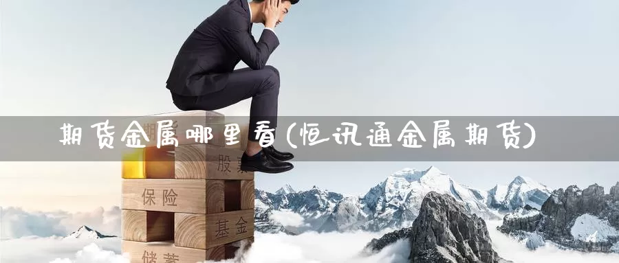 期货金属哪里看(恒讯通金属期货)